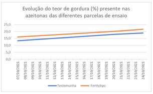 Fitolivos Noticias Olival